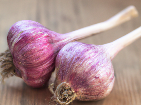 Russian Red Garlic (lb) on Sale