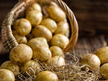 Yellow Finn Potato (Organic) Hot on Sale