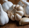 Organic German White Garlic (lb) Discount