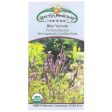 Blue Vervain Seeds For Cheap