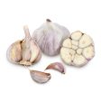 Siberian Garlic (lb) Online Hot Sale