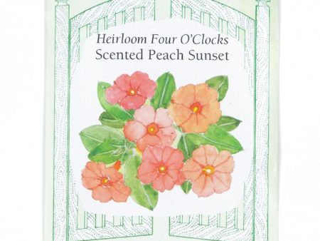 Peach Sunset Scented Four O Clock Flower Seeds Fashion