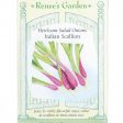 Italian Scallion Onion Seeds Online Hot Sale