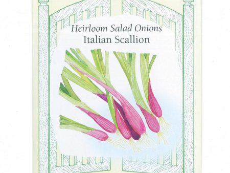 Italian Scallion Onion Seeds Online Hot Sale