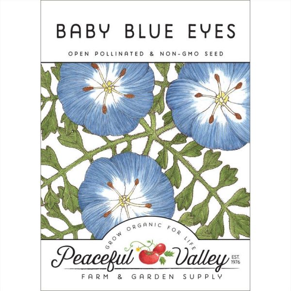 Baby Blue Eyes (pack) For Discount