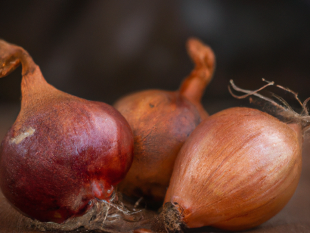 Organic French Red Shallots (lb) Discount