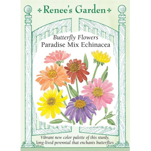 Butterfly Paradise Echinacea Flower Seed Mix Online Sale