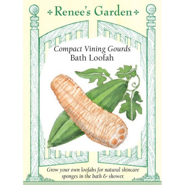 Bath Loofah Compact Vining Gourd Seeds Online now