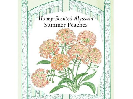 Summer Peaches Alyssum Flower Seeds Online