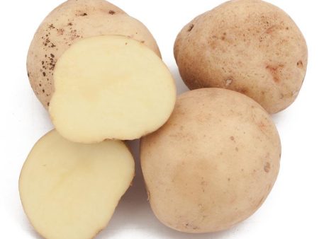 Fall-Planted Organic Yukon Gold Seed Potatoes (lb) For Cheap