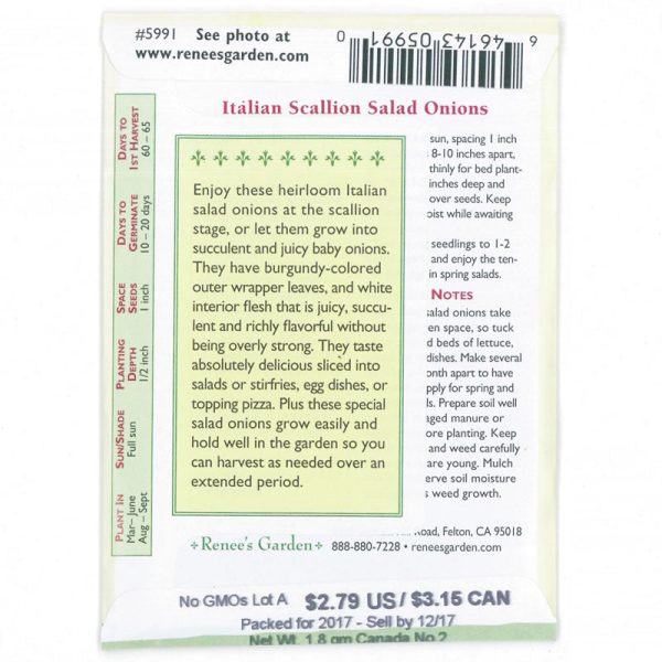 Italian Scallion Onion Seeds Online Hot Sale