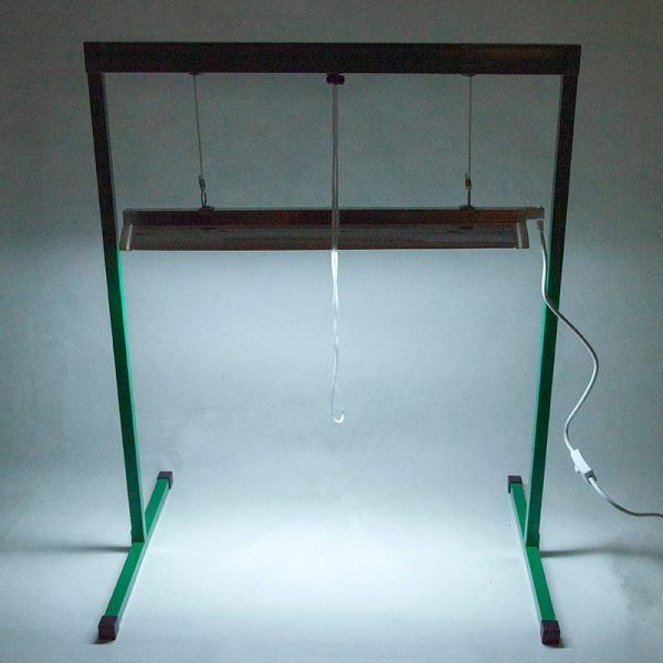 2-Foot Light System with One Lamp Online Sale