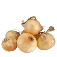 Onion Sets Yellow Stuttgarter (Pack of 75) Online