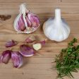 German Red Garlic (lb) For Cheap