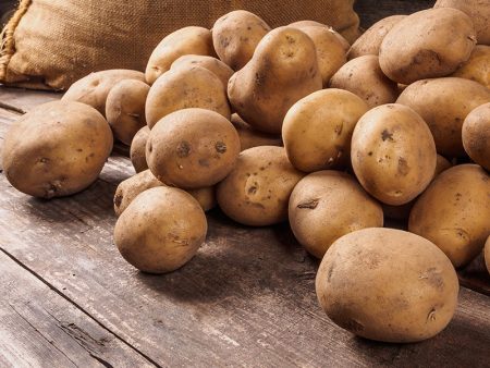 Yukon Gold Potato (Organic) Sale