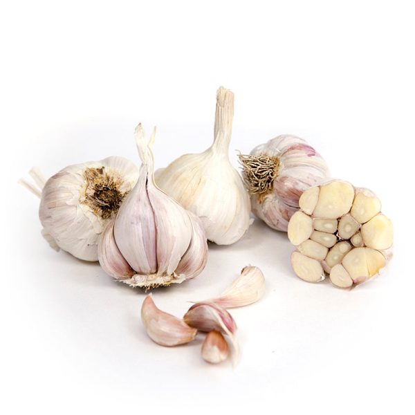 Organic Garlic, California Late White (lb) Discount