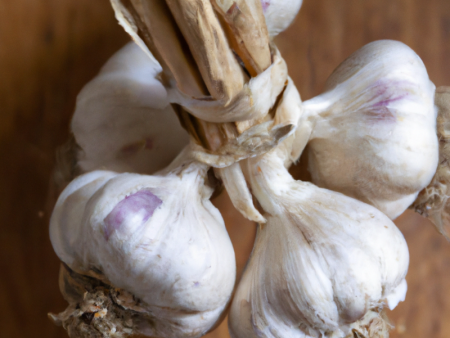 Purple Italian Garlic (lb) Online Sale