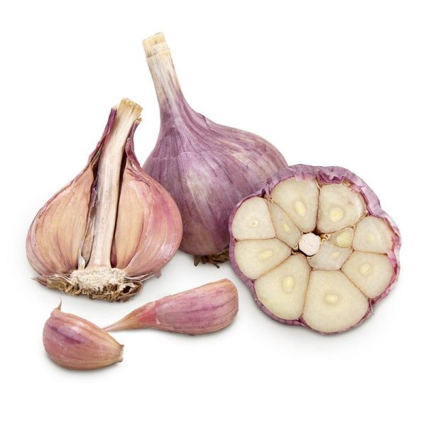 Purple Glazer Garlic (lb) Online now