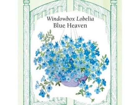 Blue Heaven Windowbox Lobelia Flower Seeds Cheap