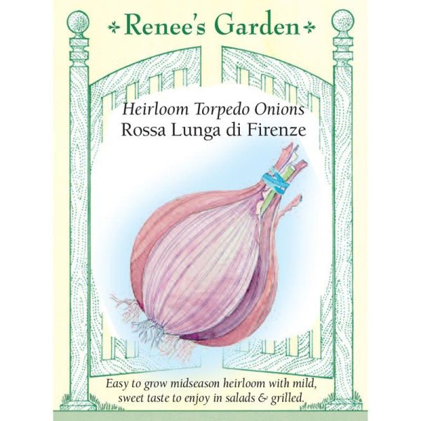 Rossa Lunga di Firenze Onion Seeds Online