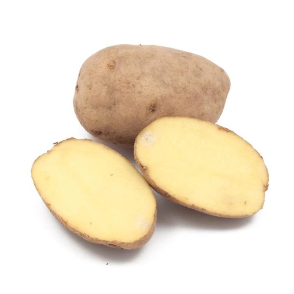 German Butterball Potato (Organic) Supply