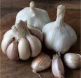 Organic German White Garlic (lb) Discount