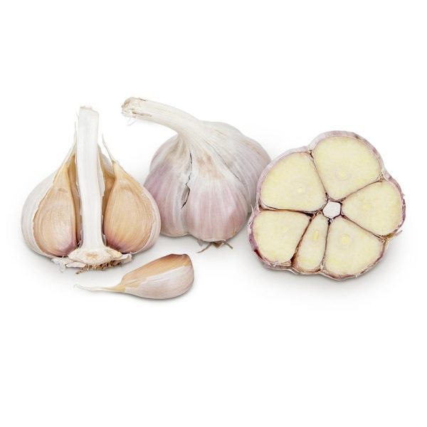 Metechi Garlic (lb) Fashion