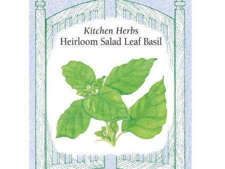 Salad Leaf Basil Seeds Discount