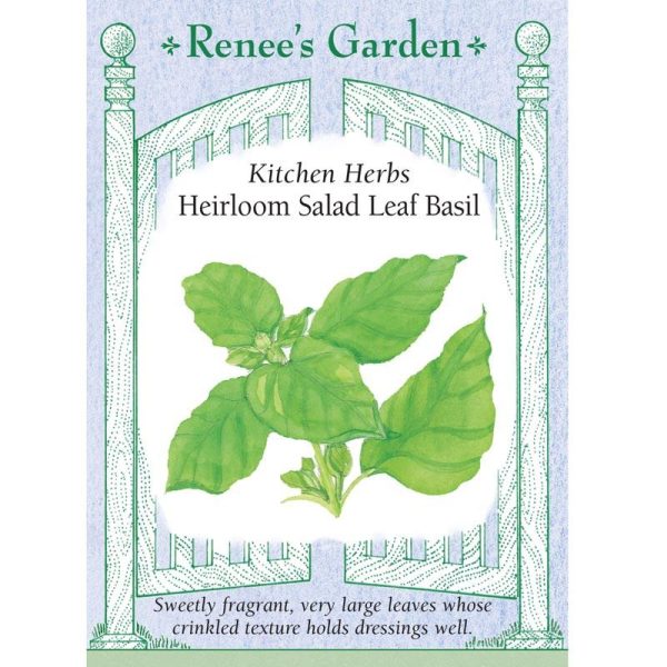 Salad Leaf Basil Seeds Discount