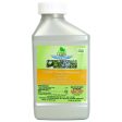 Fertilome Copper Soap Liquid Fungicide Concentrate (Pint) Online Hot Sale