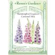 Carousel Hummingbird Foxgloves Flower Seed Mix Online Sale