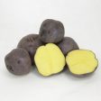 Fall-Planted Organic Huckleberry Gold Seed Potatoes (lb) Supply