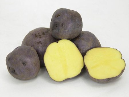 Fall-Planted Organic Huckleberry Gold Seed Potatoes (lb) Supply