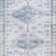 Hebruns 8  x 10  Rug For Cheap