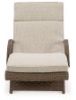 Beachcroft Outdoor Chaise Lounge with Cushion Fashion