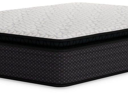 Limited Edition PT Mattress Online now