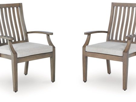 Rainier Ranch Outdoor Arm Chair with Cushion (Set of 2) For Cheap