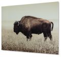 Brutus Wall Art Sale