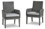 Elite Park Arm Chair with Cushion (Set of 2) Discount