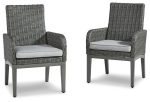 Elite Park Arm Chair with Cushion (Set of 2) Discount