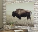 Brutus Wall Art Sale