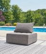 Bree Zee Outdoor Lounge Chair with Cushion For Sale