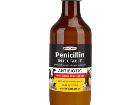 Penicillin G Norocillin Injectable 250 Ml by Durvet Online now