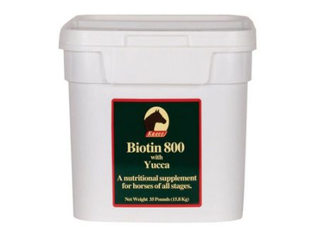 Biotin 800 For Horses Powder 35 Lbs by Kaeco For Sale