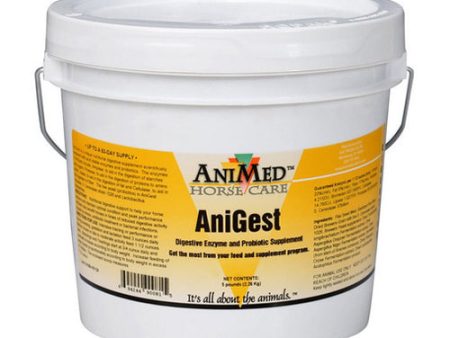 Anigest Digestive Supplement For Horses 5 Lbs by Animed Supply