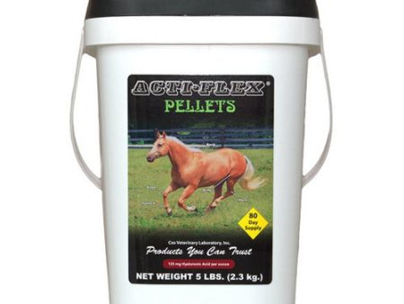 Acti-Flex Joint Supplement for Horses 5 Lbs by Cox Veterinary Laboratory, Inc. Sale